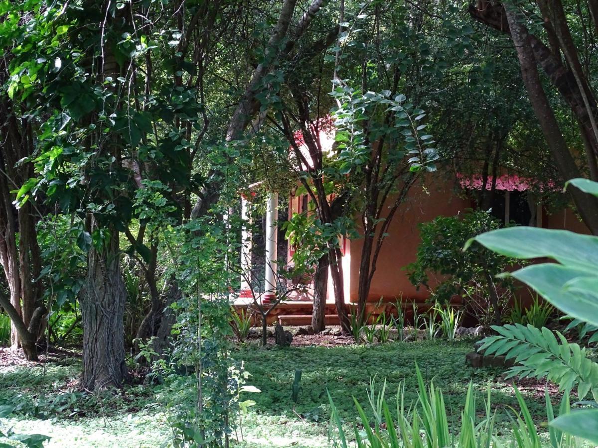 The Flycatcher Inn Retreat Hotel Santa Elena Esterno foto
