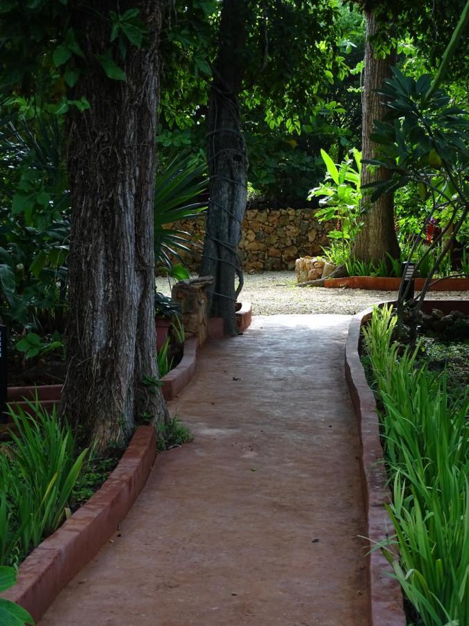 The Flycatcher Inn Retreat Hotel Santa Elena Esterno foto